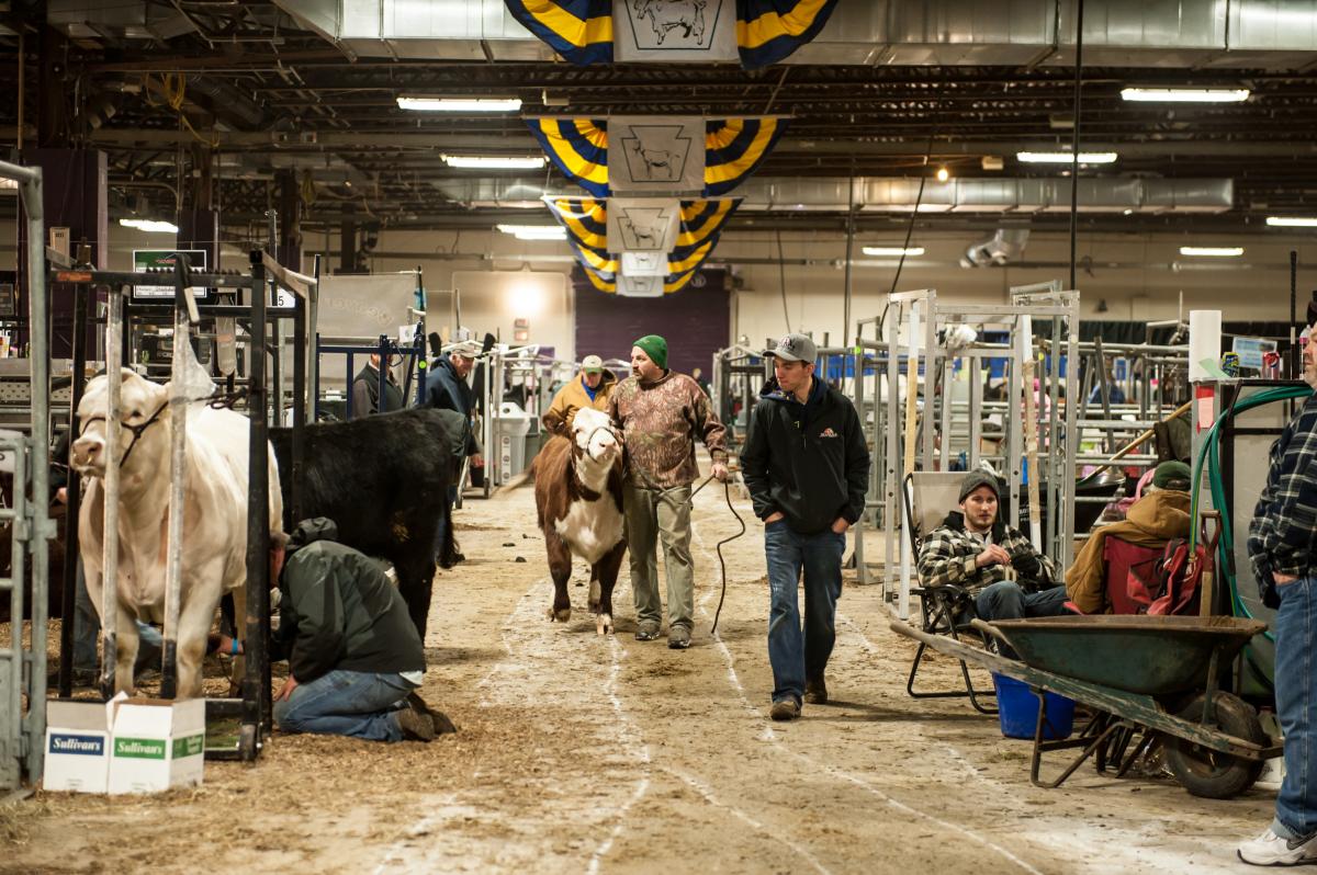 PA Farm Show Schedule for January 7th, 2014